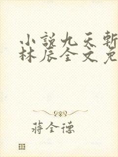 小说九天斩神诀林辰全文免费阅读