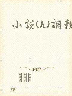小说(h)调教