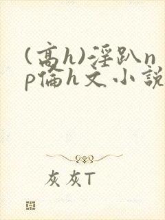 (高h)淫趴np伦h文小说