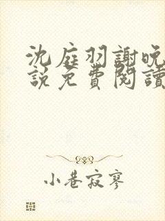 沈庭羽谢晚晚小说免费阅读最新章节封面