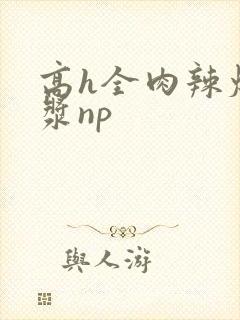 高h全肉辣爆灌浆np