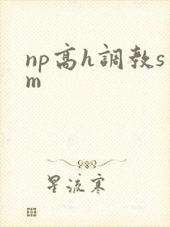 np高h调教sm