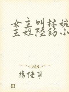 女主叫林婉清男主姓陆的小说