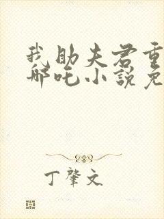 我助夫君重生后哪吒小说免费