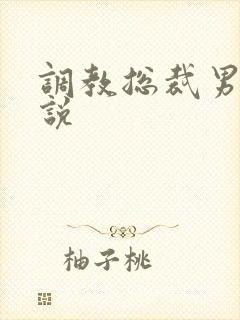 调教总裁男男小说