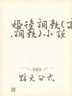 婚后调教(高h,调教)小说
