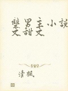 双男主小说电竞文甜文封面