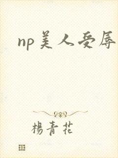 np美人受辱记封面