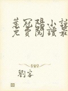 叶冠阳小说全文免费阅读最新章节