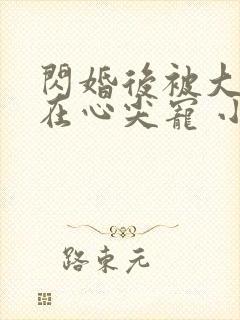 闪婚后被大佬放在心尖宠 小说完整封面