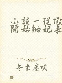 小说一从假皇帝开始纳妃长生封面