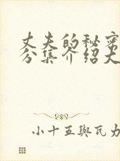 丈夫的秘密剧情分集介绍大结局是什么封面