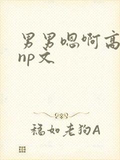男男嗯啊高h黄np文