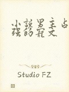 小说男主占有欲强的宠文