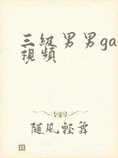 三级男男gay视频封面