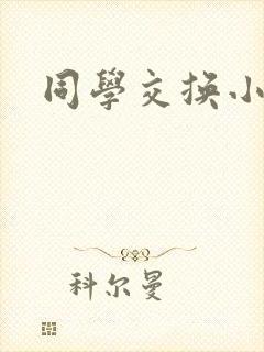 同学交换小说封面