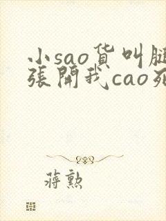 小sao货叫腿张开我cao死你封面