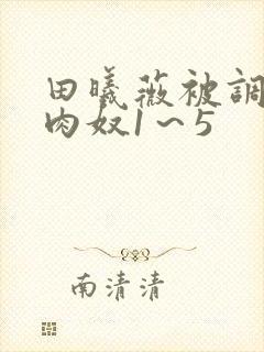 田曦薇被调教成肉奴1～5