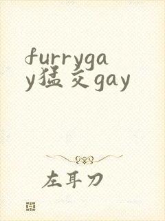 furrygay猛交gay