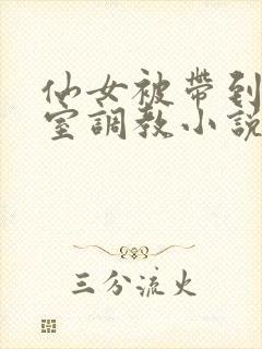 仙女被带到乳刑室调教小说