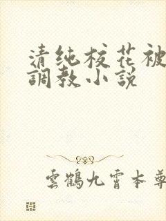 清纯校花被地狱调教小说