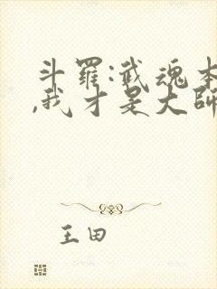 斗罗:武魂本体,我才是大师笔趣阁