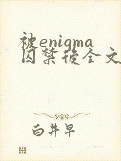 被enigma囚禁后全文免费阅读