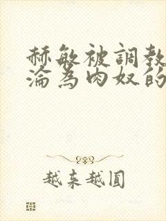 赫敏被调教喷水沦为肉奴的小说封面