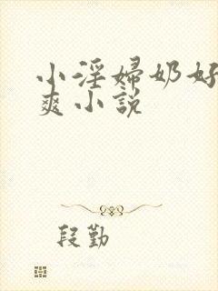 小淫妇奶好大好爽小说