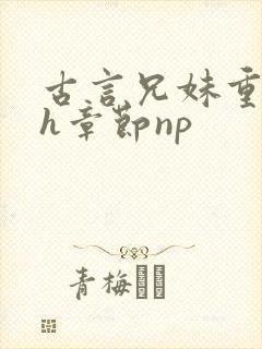 古言兄妹重口高h章节np