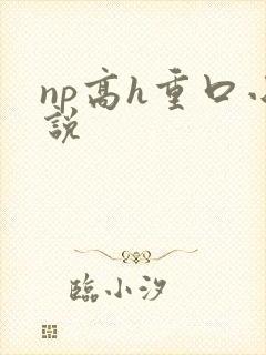 np高h重口小说