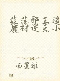 苏落邪王追妻:废材逆天小姐