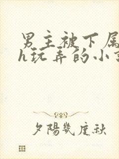 男主被下属调教h玩弄的小说