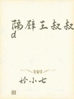 隔壁王叔叔 小d