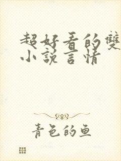 超好看的双男主小说言情