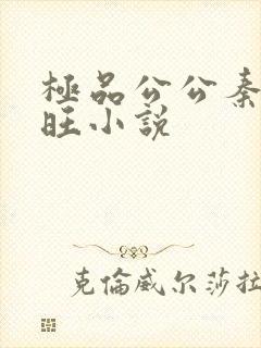 极品公公秦雨老旺小说封面