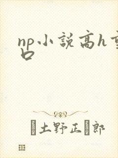 np小说高h重口