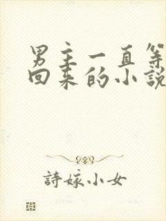 男主一直等女主回来的小说