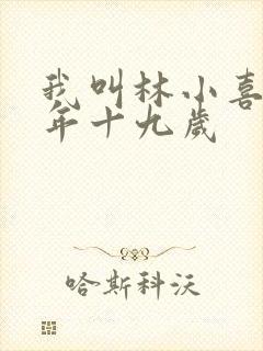 我叫林小喜 今年十九岁封面