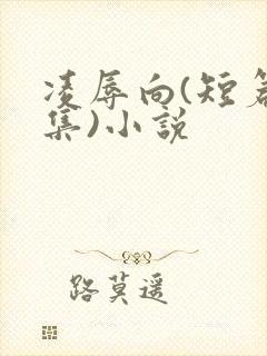 凌辱向(短篇合集)小说