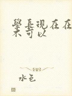 学长现在在上课不可以