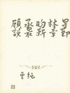 顾承昀林星禾小说最新章节免费阅读