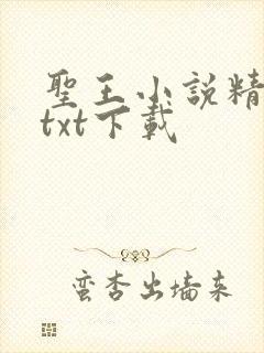 圣王小说精校版txt下载