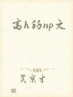 高h的np文