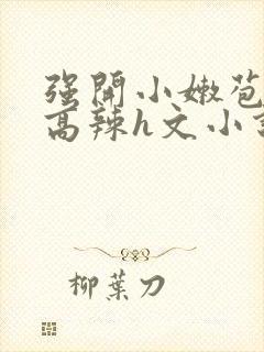 强开小嫩苞h文高辣h文小说