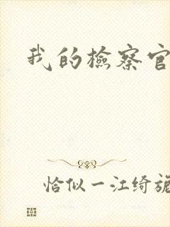 我的检察官先生