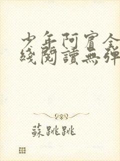 少年阿宾全文在线阅读无弹窗封面