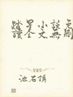 踏星小说免费阅读全文无删减