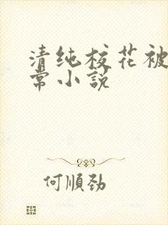 清纯校花被炒日常小说