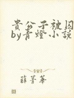 贵公子被囚为奴by青灯小说免费阅读